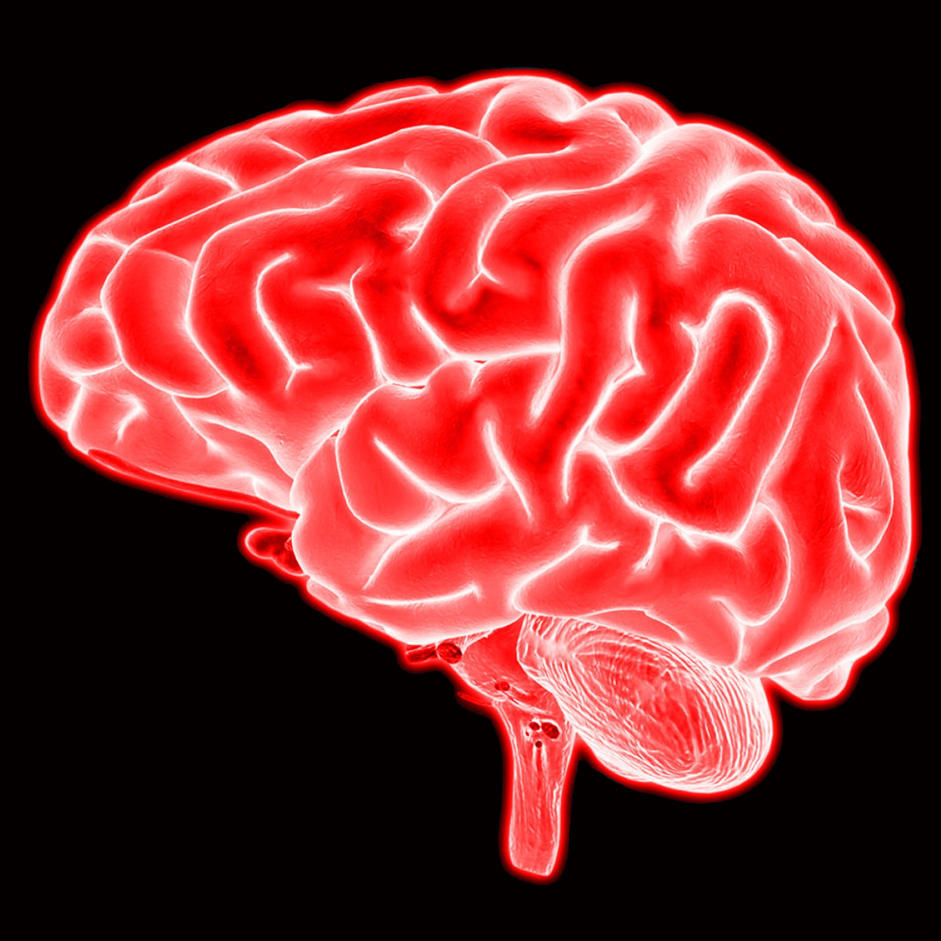 Brain imaging. Мозг картинка.